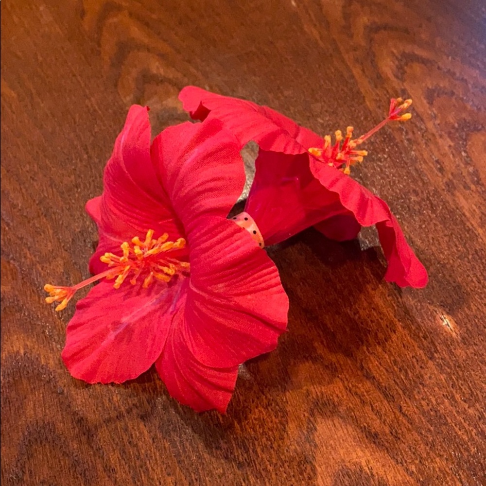 ❣️SOLD❣️ Tropical Flower Hair Clip